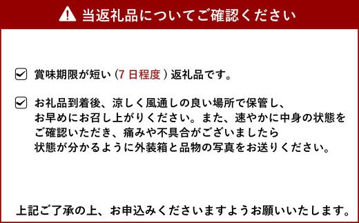 【11月下旬～順次発送予定】ミニトマト 合計約6kg（3kg×2箱）プチトマト 熊本産 宇城彩館