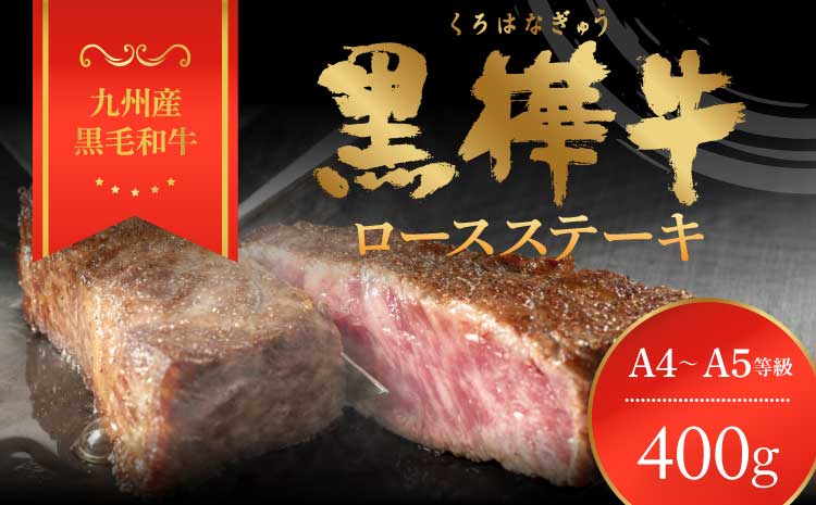 九州産黒毛和牛 杉本本店 黒樺牛 A4〜A5等級 ロースステーキ 200g×2 計400g