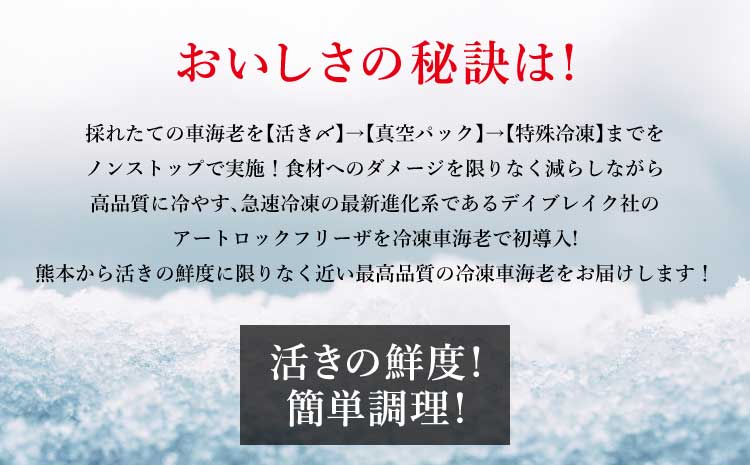 辭頑悽逵檎肇 諤・騾溷キ蜃 霆頑オキ閠 1kg(36縲52蟆セ) 逕滄」溷庄 迸ャ髢灘キ蜃