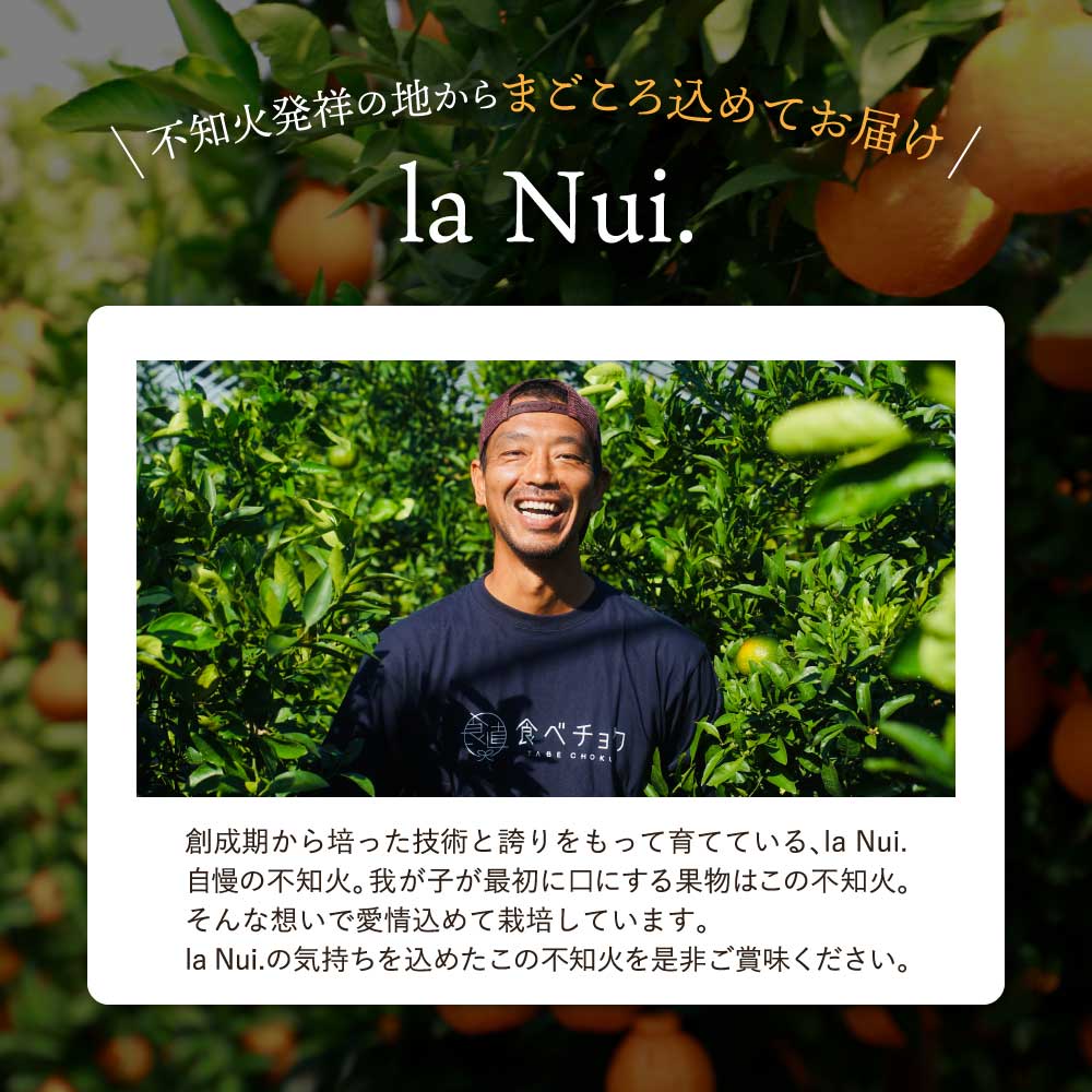 ãªãã¥ãŒã« 1æ¬ TAKAOKA FARM ORIGINAL LIQUEUR (ã¿ã«ãªã«ãã¡ãŒã ãªãªãžãã« ãªãã¥ãŒã«) æ ªåŒäŒç€Ÿla Nui.