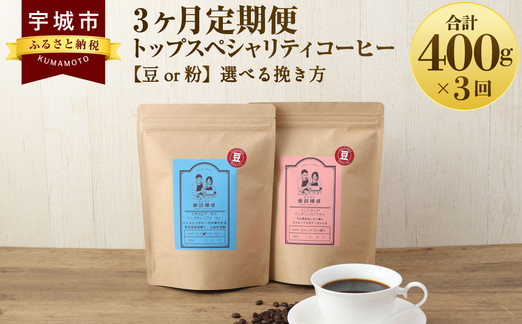 【3ヶ月定期便】 トップ スペシャリティ コーヒー 豆