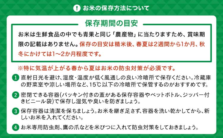 什å7å¹Žç£ ç±³ 森ã®ããŸãã 5kg ã2025幎11æäžæ¬ãã2026幎10æäžæ¬çºéäºå®ã çœç±³ ããã¡ç±³ ãç±³ 粟米 ã³ã¡ ãã¯ã ã飯 ããã 粟çœç±³ ãã©ã³ãç±³ åäžç±³ åœç£ çæ¬çç£ ä¹å· çæ¬ç å®ååž çæ¬å®å蟲æ¥ååçµå JAçæ¬ãã