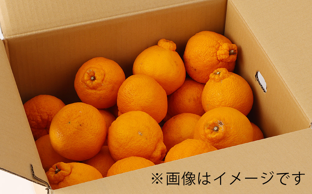 【先行受付】【2024年2月上旬より順次発送予定】 山口果樹園 訳あり不知火 約7kg L〜3L混合 柑橘 果物 フルーツ