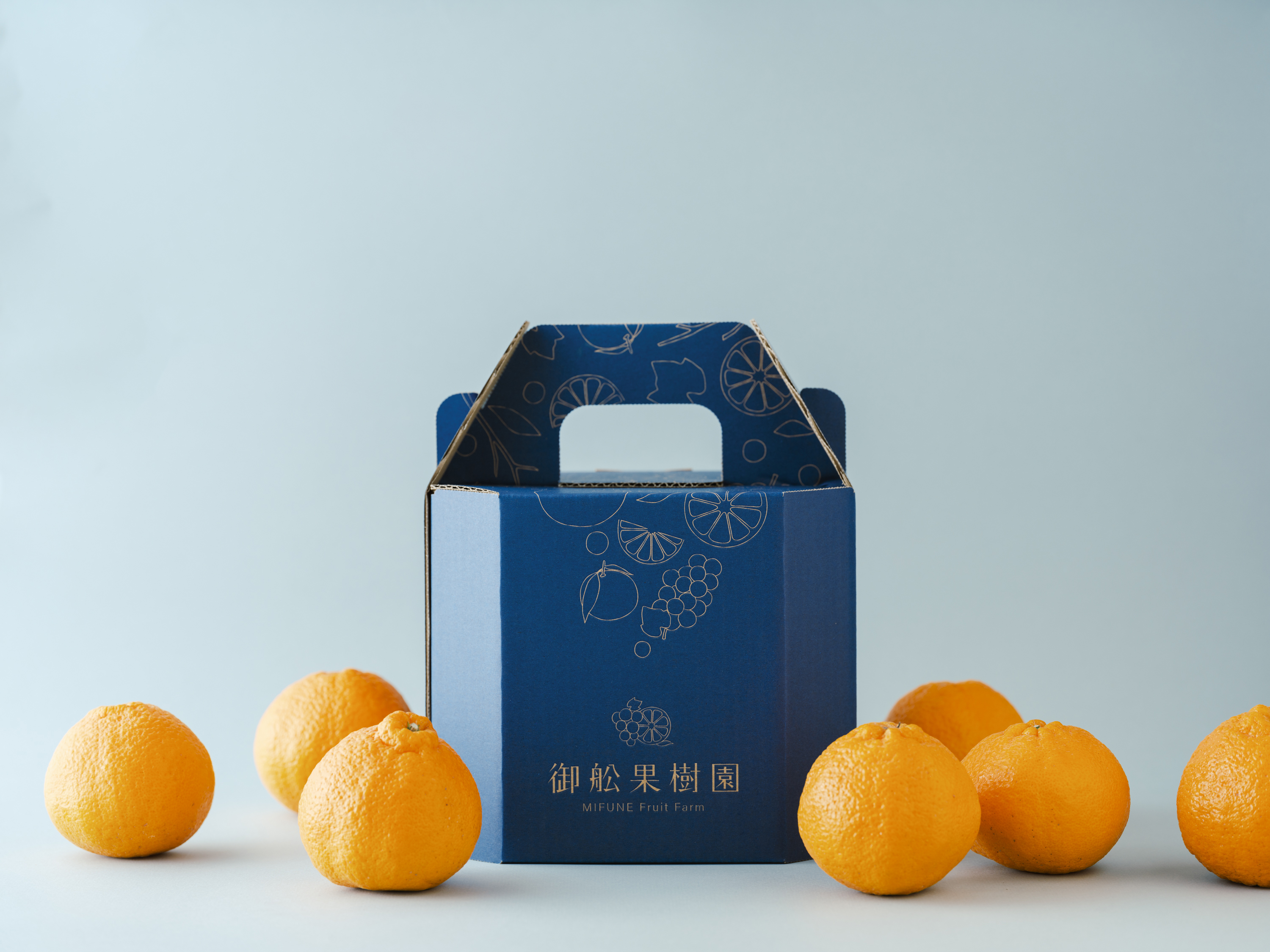 å
è¡äºçŽ èš³ãã äžç¥ç« æããäžç¥ç« éžã¹ã容é çŽ2kg ã2026幎4æäžæ¬ãã2026幎6æäžæ¬çºéäºå®ã åŸ¡è©ææš¹å ãããã äžæã ããã¬ã ææ© å®ååž çæ¬çç£