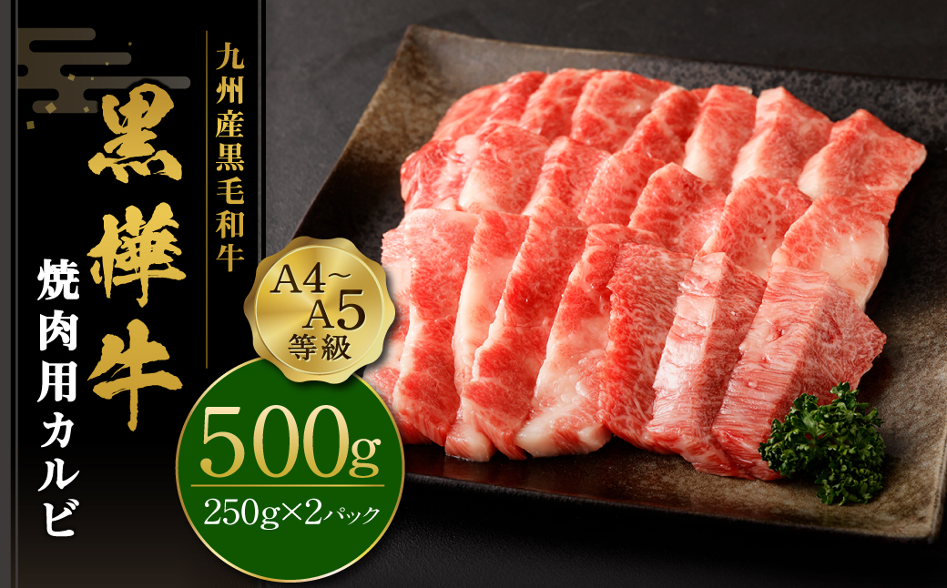 九州産黒毛和牛 杉本本店 黒樺牛 A4〜A5等級 焼肉用カルビ 250g×2 計500g