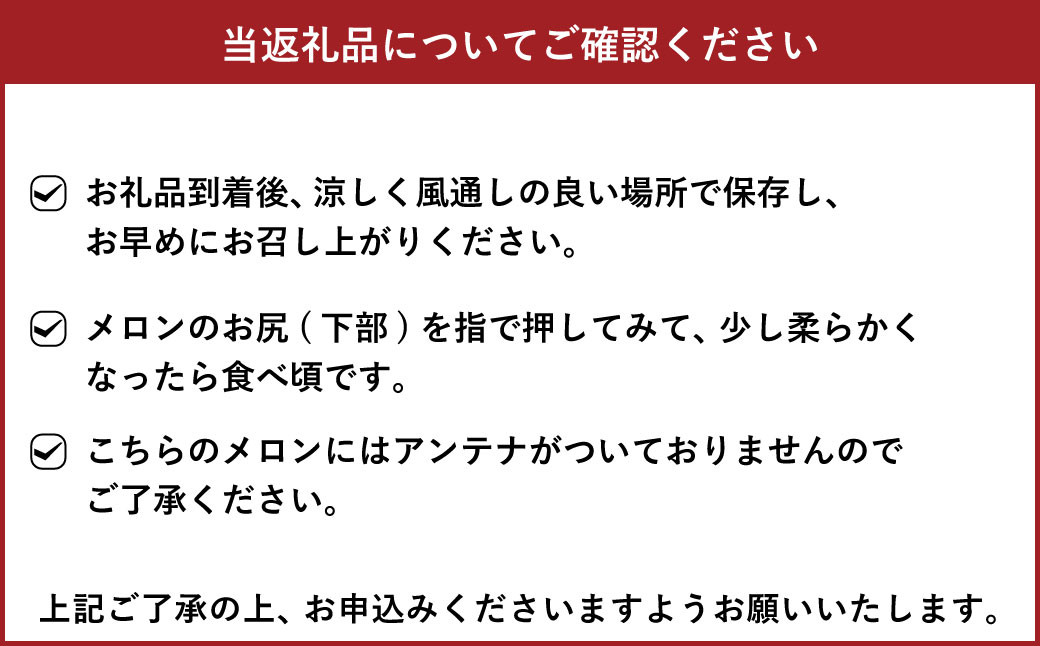 メロン（肥後グリーン）2玉入り 合計約3kg～約4kg【サンサンうきっ子宇城彩館】【2025年5月下旬から6月上旬発送予定】