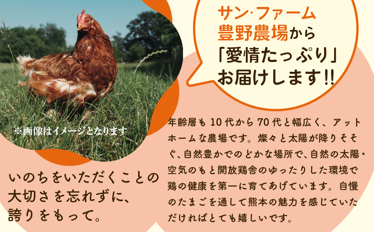 ã6ã¶æå®æäŸ¿ããµãããšå°ããŸãèš180åïŒ30åÃ6åïŒ1åããã5åç Žæè£åå«ã