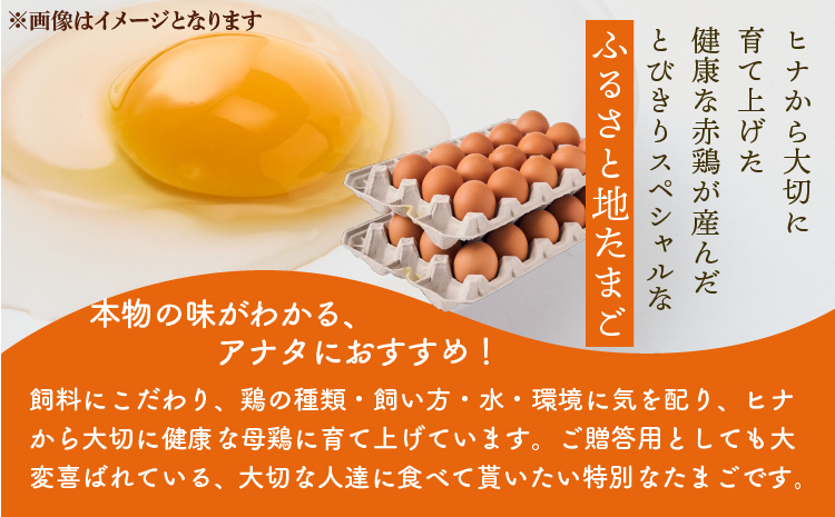 ã6ã¶æå®æäŸ¿ããµãããšå°ããŸãèš180åïŒ30åÃ6åïŒ1åããã5åç Žæè£åå«ã