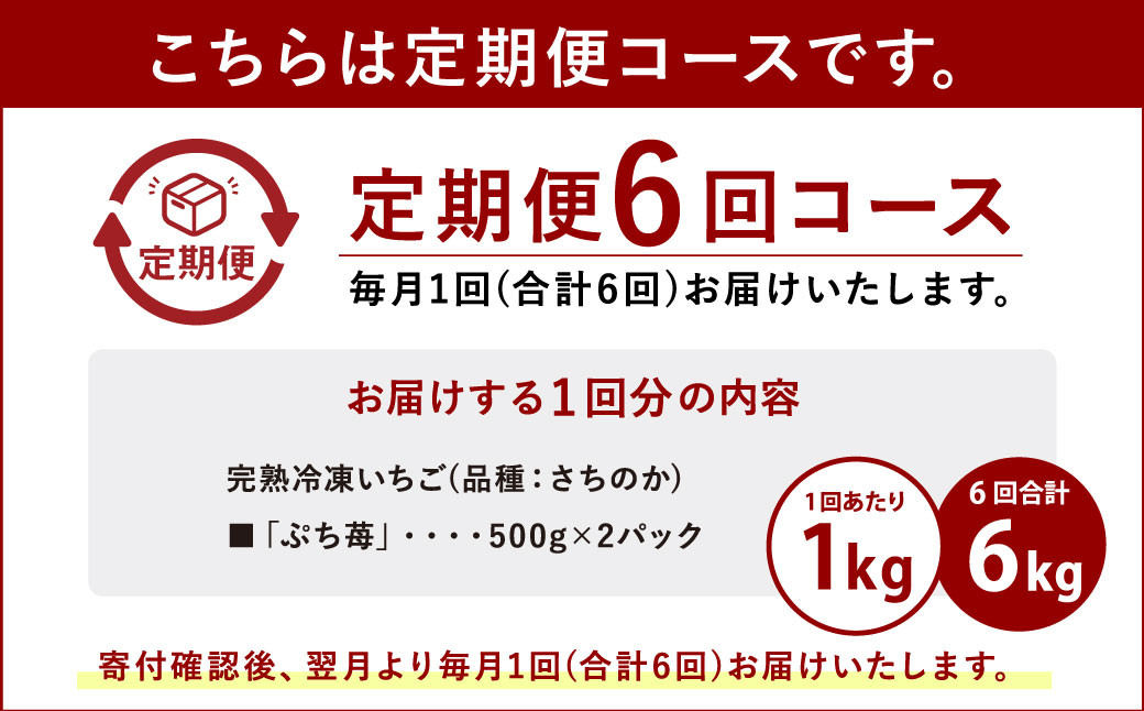 【定期便6ヶ月】完熟冷凍いちご「ぷち苺」1kg 500g×2パック 園村苺園