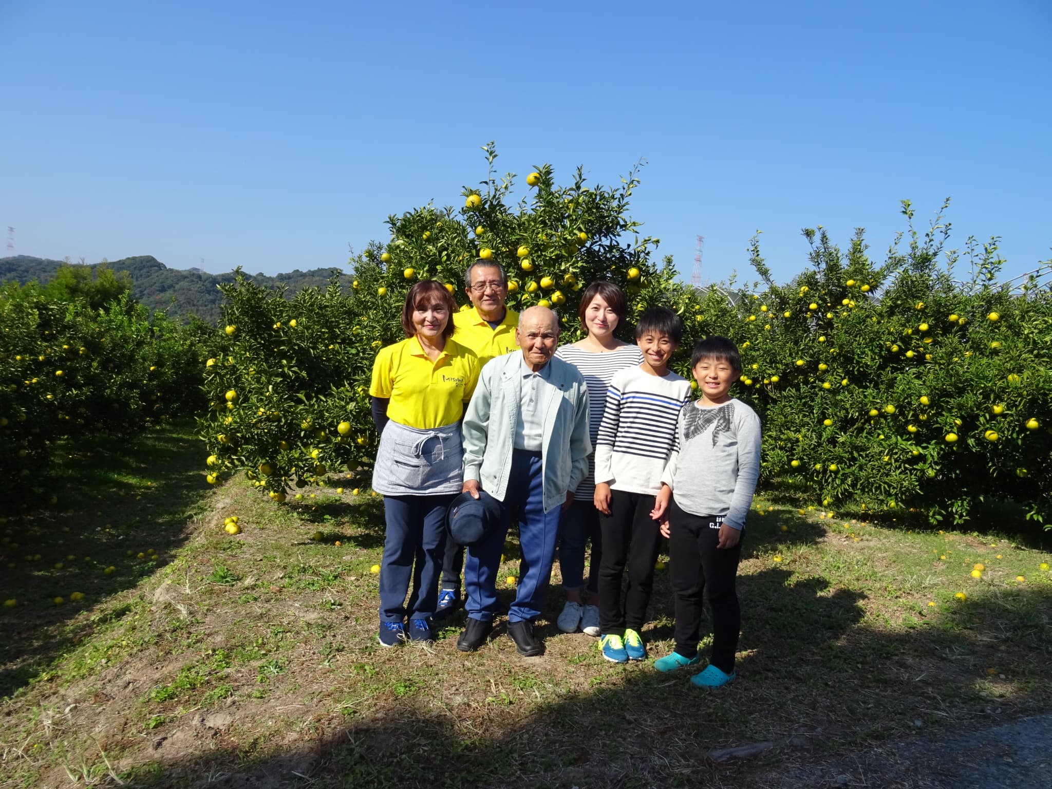 ãã©ãããªã¬ã³ãž 100% ãžã¥ãŒã¹ 530mlÃ2æ¬ åèš1.06L