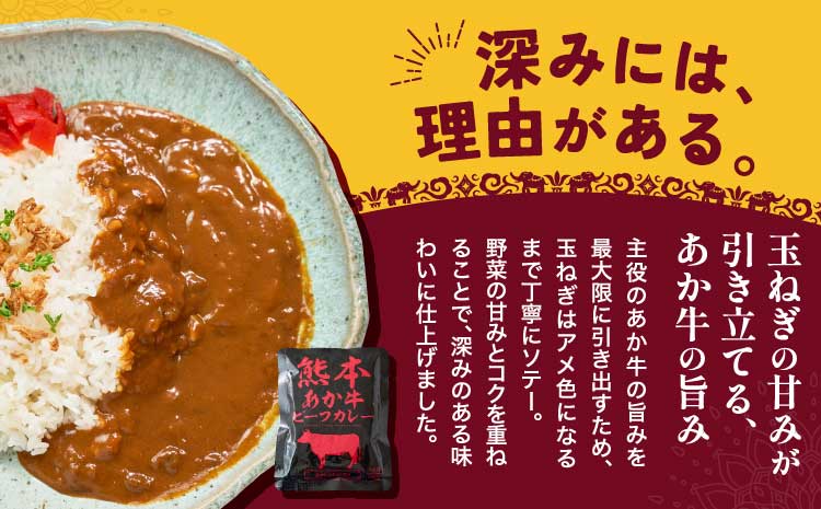 熊本県産あか牛使用 くまもとあか牛 ビーフカレー 4人前 1袋 160g カレー レトルトカレー ビーフカレー あか牛カレー あか牛 あかうし 赤牛 惣菜 レトルト 簡単調理 時短 備蓄 常備 長期保存 送料無料 亀井通産株式会社