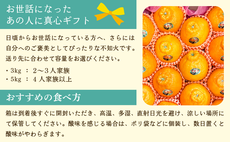 先行予約【雑誌 MORE 掲載】不知火 約3kg (約9～12玉) 【2026年3月上旬から4月下旬発送予定】しらぬい 柑橘 みかん ミカン 蜜柑 果物 くだもの フルーツ 九州産 熊本県産 宇城市産 国産