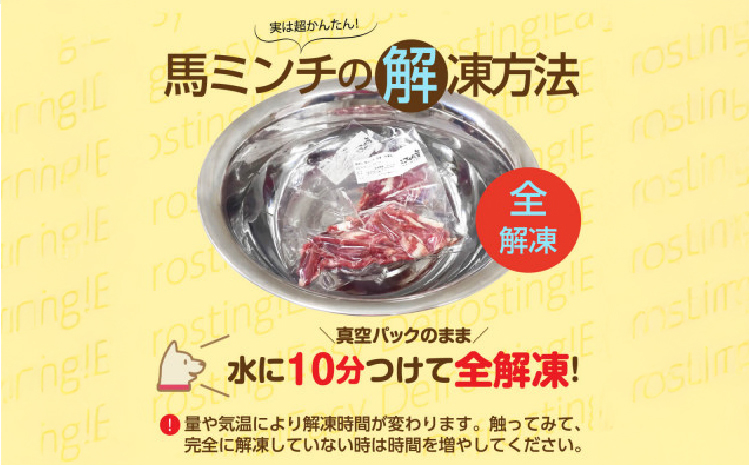 特選馬ミンチ45g 22パックセット ワンちゃん大喜び 馬肉ミンチ 犬用ミンチ 冷凍ミンチ 高タンパク 栄養満点 小分けパック 熊本県 宇城市 大阪馬肉屋TMP
