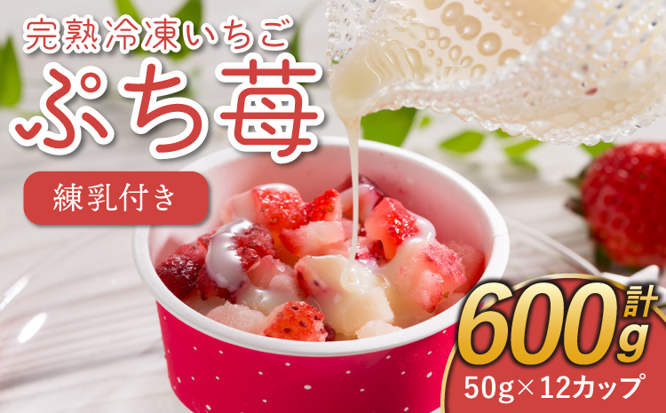 完熟 冷凍 いちご 「ぷち苺」 50g×12カップ 合計600g 練乳付き 1本（120g） 園村苺園
