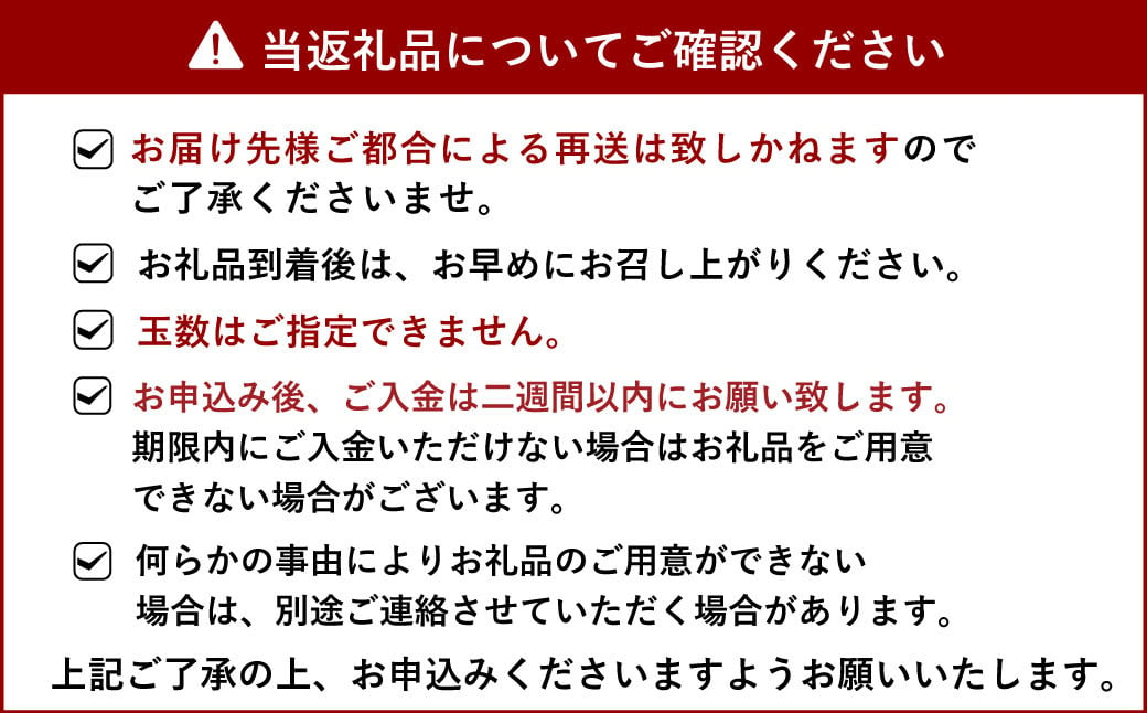 【先行予約】宇城市産 訳あり品 不知火 約5kg【うちやま果樹園】【2025年3月上旬から6月下旬発送予定】フルーツ 果物 くだもの 柑橘 しらぬい