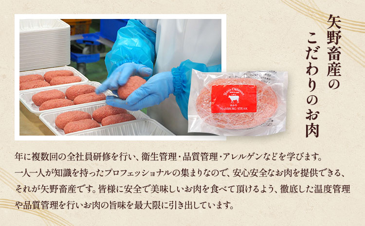 牛肉 あか牛 ハンバーグ 合計約1.2kg(約150g×8個) 和牛 ハンバーグ 手ごね ハンバーグ冷凍 ハンバーグステーキ ハンバーグセット 返礼品 和牛ハンバーグ 牛肉 和牛 赤身肉 冷凍惣菜 国産 九州産 熊本県