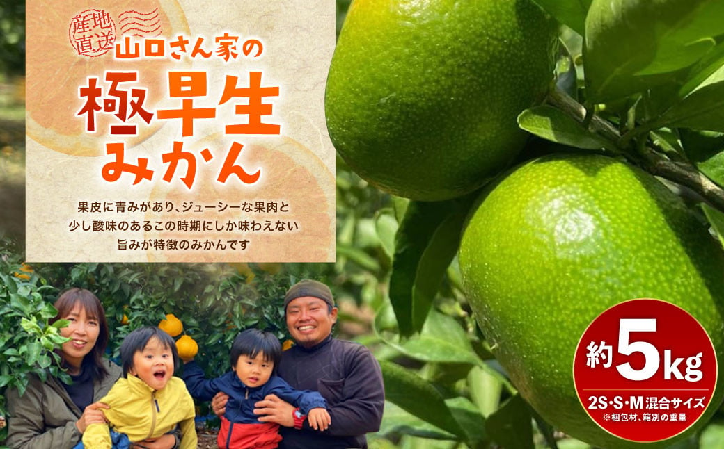 【先行受付】【9月上旬より順次発送予定】宇城市産山口さん家の極早生みかん 約5kg 柑橘 果物 フルーツ
