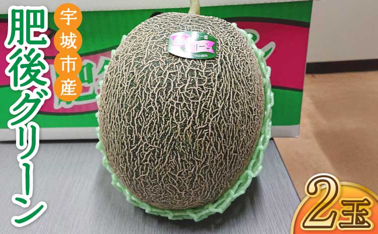 宇城市産 肥後グリーン 2玉 フレッシュダイレクト【2026年5月中旬〜7月下旬頃順次発送予定】