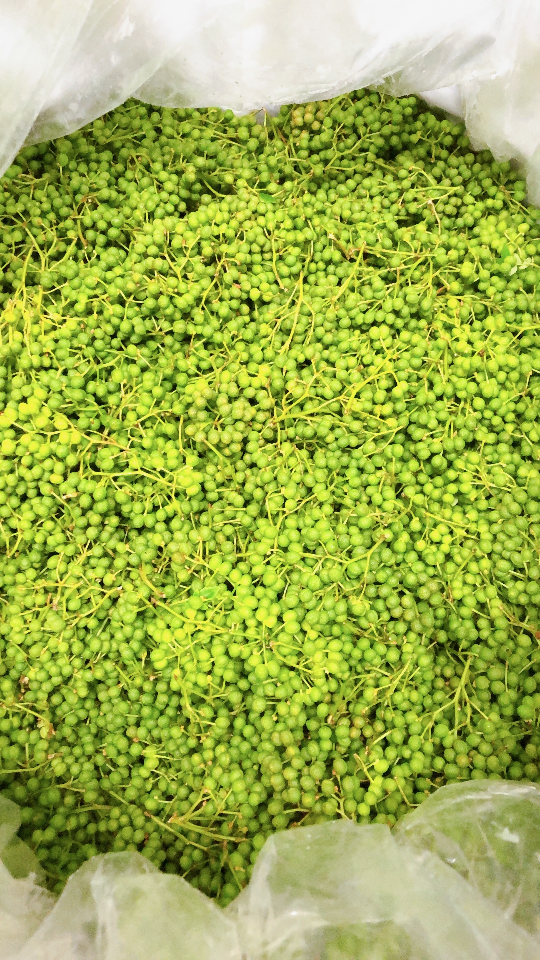 【大辛】馬婆豆腐の素 150g（2〜3人前）×5パック 馬婆豆腐 馬婆豆腐の素 豆板醤 馬肉 調味料