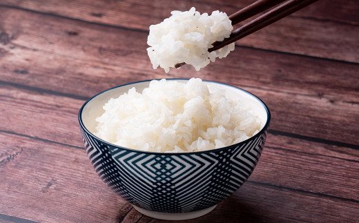 熊本県 宇城市産 日岳米 5kg×1袋 お米 精米