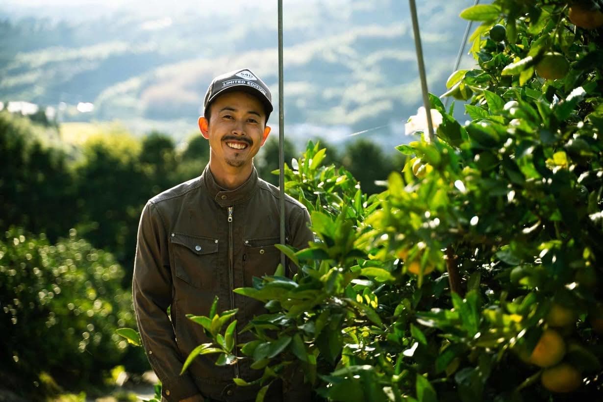 先行予約 宇城市産 河内晩柑（ジューシーオレンジ） 約10kg 【高橋果樹園】【2026年4月上旬から2026年6月下旬順次発送予定】晩柑 熊本県 宇城市