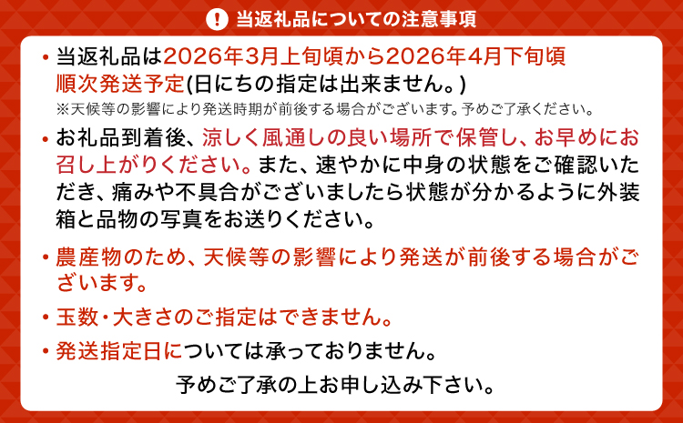 【先行予約】 ブラッドオレンジ 約3kg（15玉〜25玉）【吉田レモニー】【2026年3月上旬〜2026年4月下旬発送】