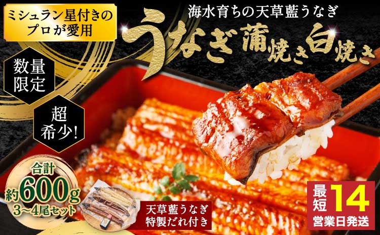 うなぎ 【ミシュラン1つ星店 採用】 国産 紅白 3～4尾セット 計600g  【数量限定】海水育ちの天草藍うなぎ 鰻 ニホンウナギ 惣菜 熊本県産 九州 国産 冷凍