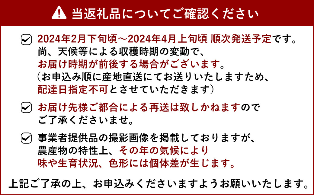 【2024年2月下旬～順次発送予定】不知火 約3kg