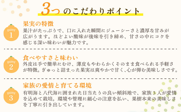 宇城市産  あーちゃん家の 不知火 5kg 【2026年4月上旬〜5月下旬発送予定】 しらぬい 柑橘 みかん ミカン 蜜柑 オレンジ 