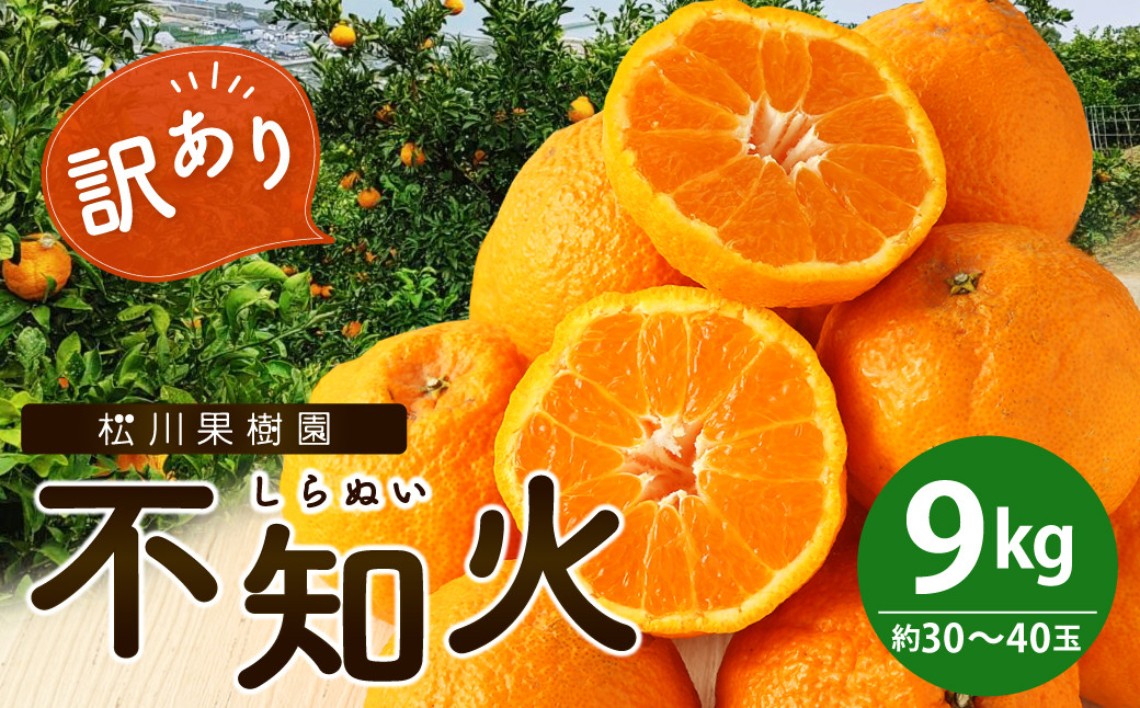 雑誌「MORE」掲載商品 不知火 訳あり品 9kg 【松川果樹園】【2025年3月上旬から4月下旬発送予定】しらぬい 柑橘