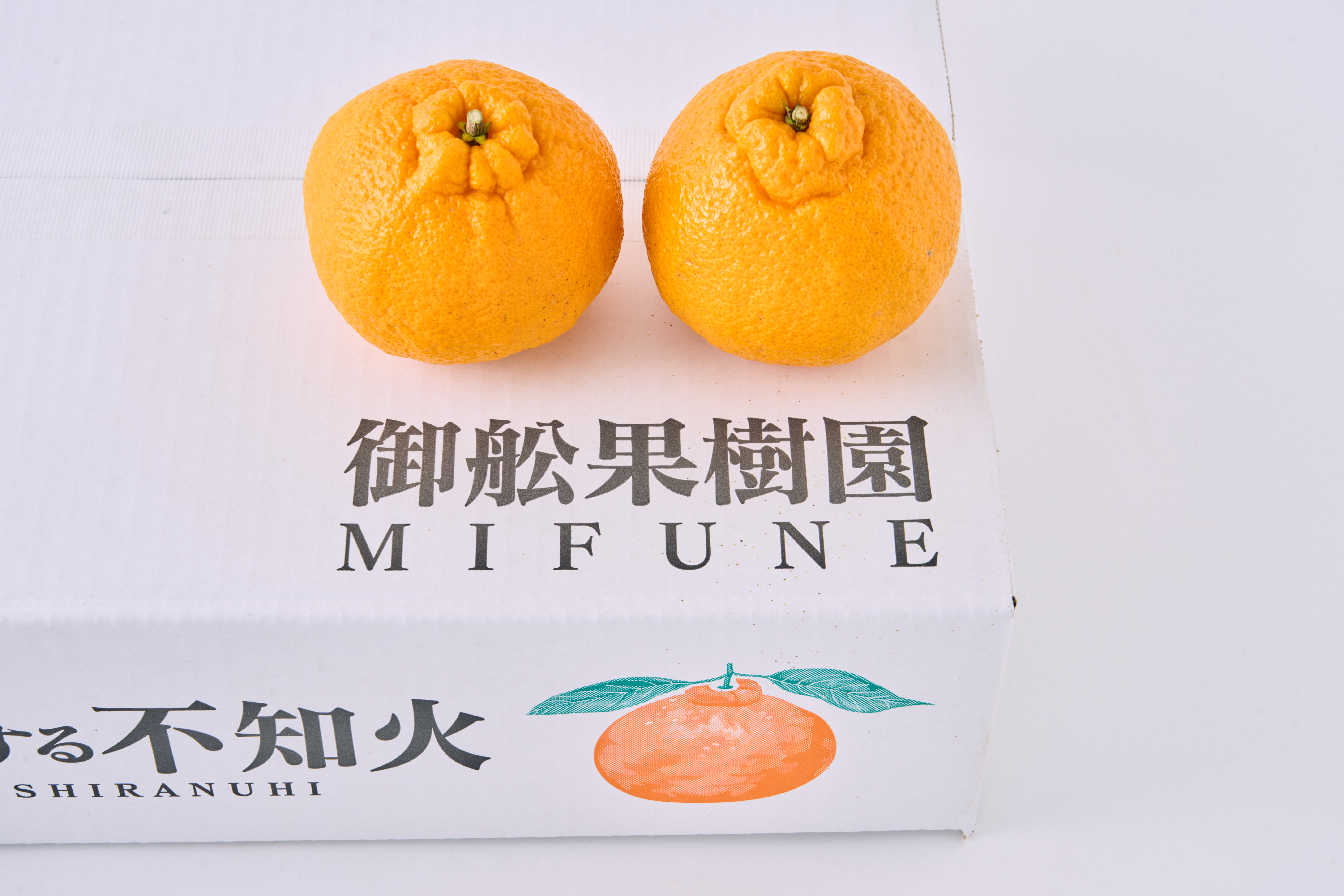 先行予約 不知火 恋する不知火 約5kg 御舩果樹園 しらぬい みかん ミカン 【2026年4月上旬から2026年6月下旬発送予定】 フルーツ 果物 くだもの 柑橘 宇城市 熊本県産 九州産