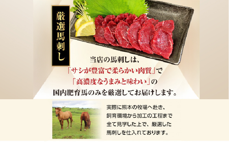 馬刺しセット 5種 1ブロック45g～50g 8～10切れ 約1人前 馬刺し 熊本 馬刺 国産 ギフト 肉 馬肉 グルメ おつまみ 晩酌 内祝い お歳暮 御歳暮 熊本県 宇城市 大阪馬肉屋TMP