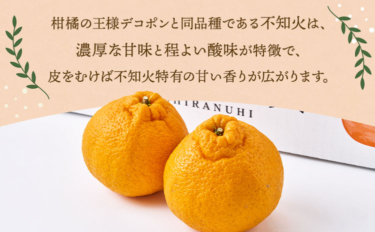 先行予約 不知火 恋する不知火 約5kg 御舩果樹園 しらぬい みかん ミカン 【2026年4月上旬から2026年6月下旬発送予定】 フルーツ 果物 くだもの 柑橘 宇城市 熊本県産 九州産