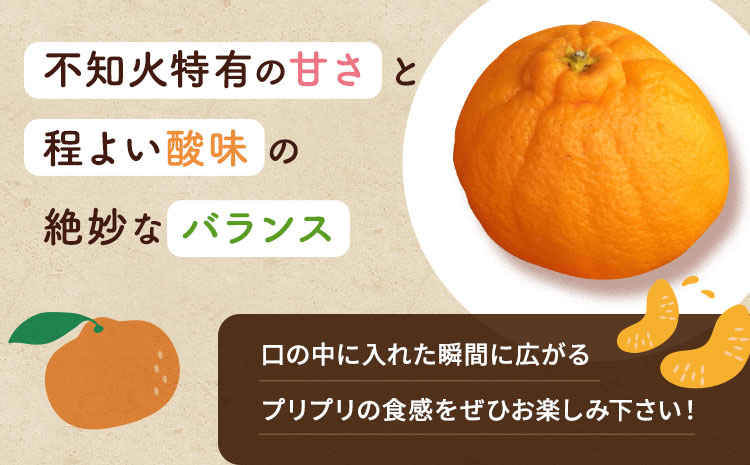 ãå
è¡äºçŽã äžç¥ç« èš³ãã çŽ8kg ããã¬ã ææ© ãã«ãŒã æç© æå® ã¿ãã èæ ãã«ã³ çæ¬ç å®ååžç£ ã2026幎2æäžæ¬ãã4æäžæ¬çºéäºå®ã