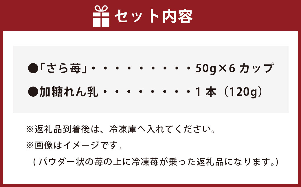 完熟 冷凍 いちご 「さら苺」 6カップ 合計300g 練乳付き 1本（120g） 園村苺園