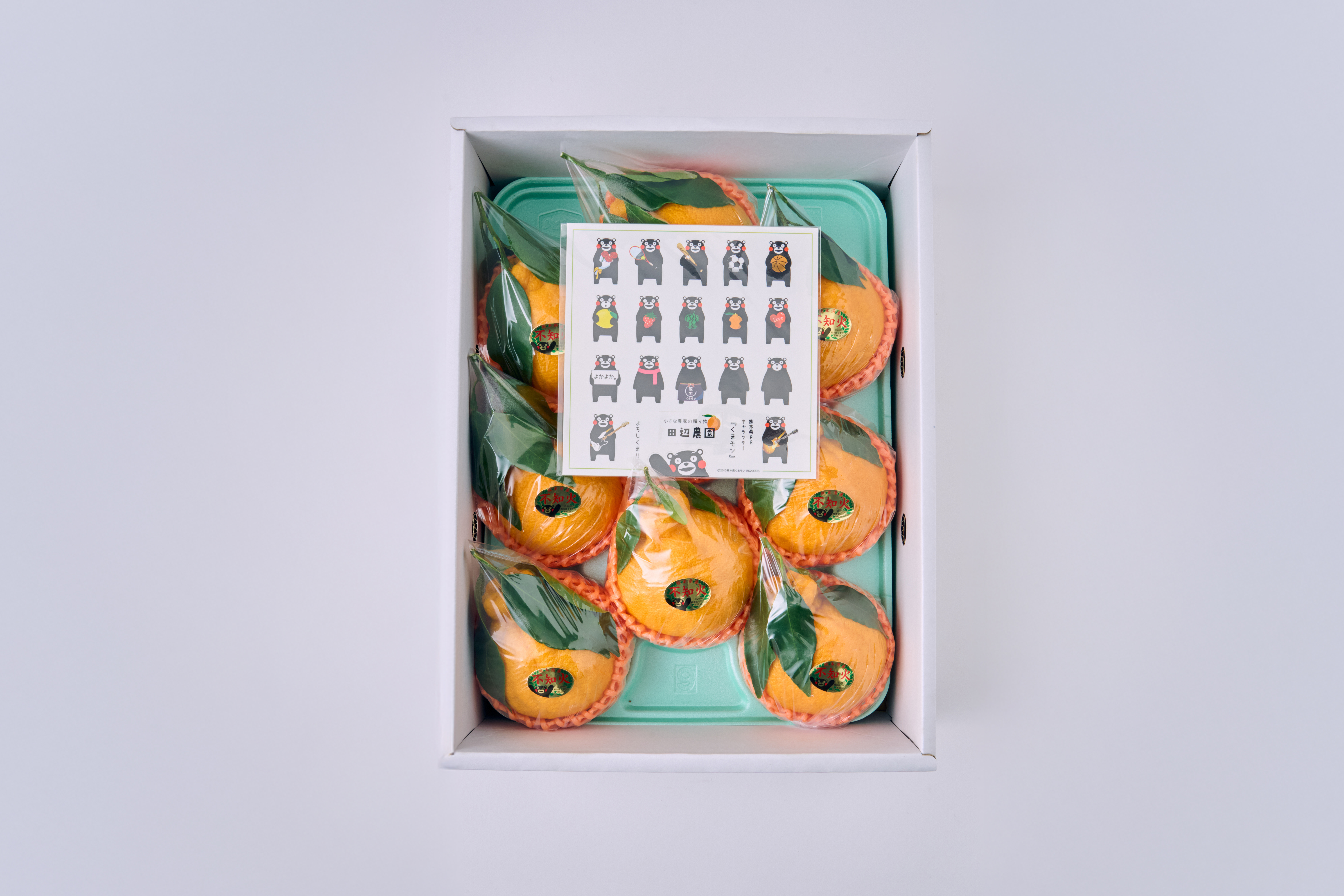 先行予約 不知火 果実の宝箱葉付きデコ柑不知火 約2.5kg 7玉〜11玉 【2026年3月上旬から5月下旬発送予定】 しらぬい 柑橘 みかん ミカン 蜜柑 果物 くだもの フルーツ 九州産 熊本県産 宇城市産 国産 田辺農園