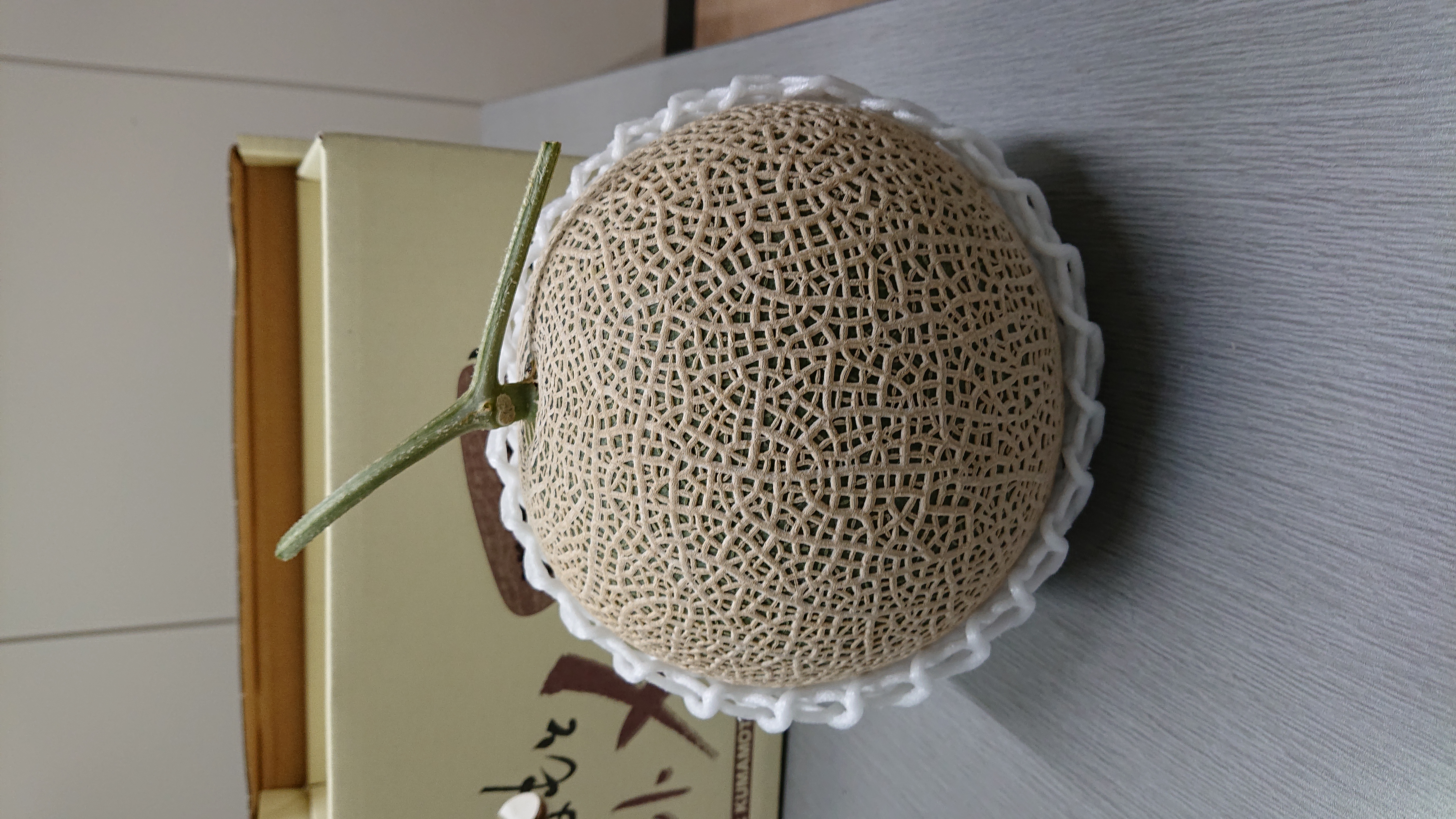 å®ååžç£ ã¢ãŒã«ã¹ã¡ãã³ 2ç ãã¬ãã·ã¥ãã€ã¬ã¯ãã2026幎6æäžæ¬ã7æäžæ¬é é æ¬¡çºéäºå®ã