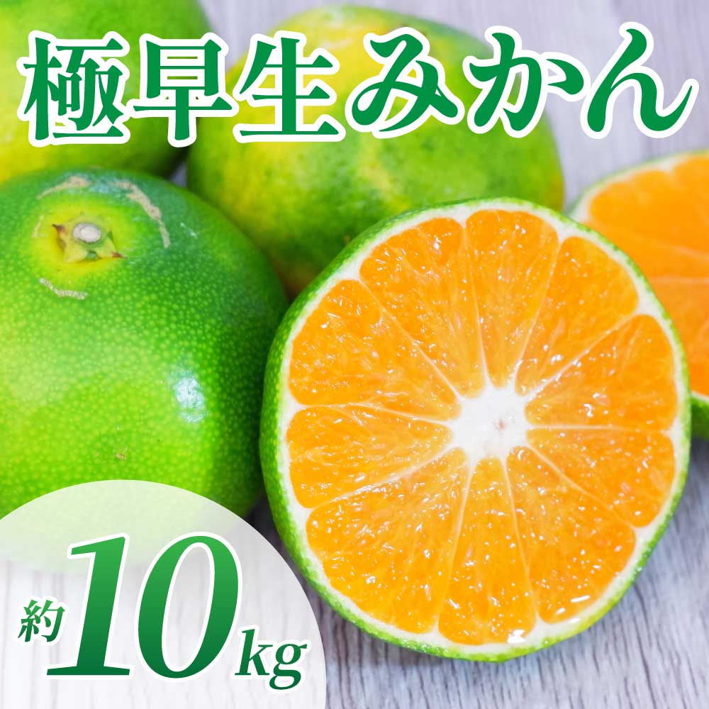 先行予約 極早生みかん 約10kg (2S〜2L)【2026年10月上旬〜2026年10月下旬配送予定】みかん ミカン 極早生みかん フルーツ 果物 柑橘 かんきつ 蜜柑 熊本県 熊本 九州 宇城市 国産 高糖度 甘い ジューシー みずみずしい 果汁 日本フルーツ