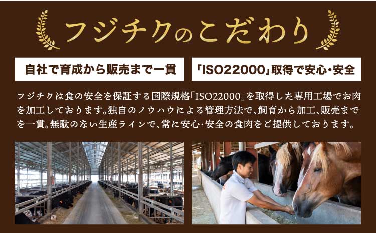フジチクオリジナル 特選馬刺しの8種セット 肉 刺身 生肉 お肉 精肉 馬 メン 三枚バラ 大トロ 中トロ ヒレ シャトーブリアン ロース ランプ 上赤身 赤身 ネギトロ 霜降り サシ 熊本 熊本県 本場 産地直送 専門店 食べ比べ フジチク