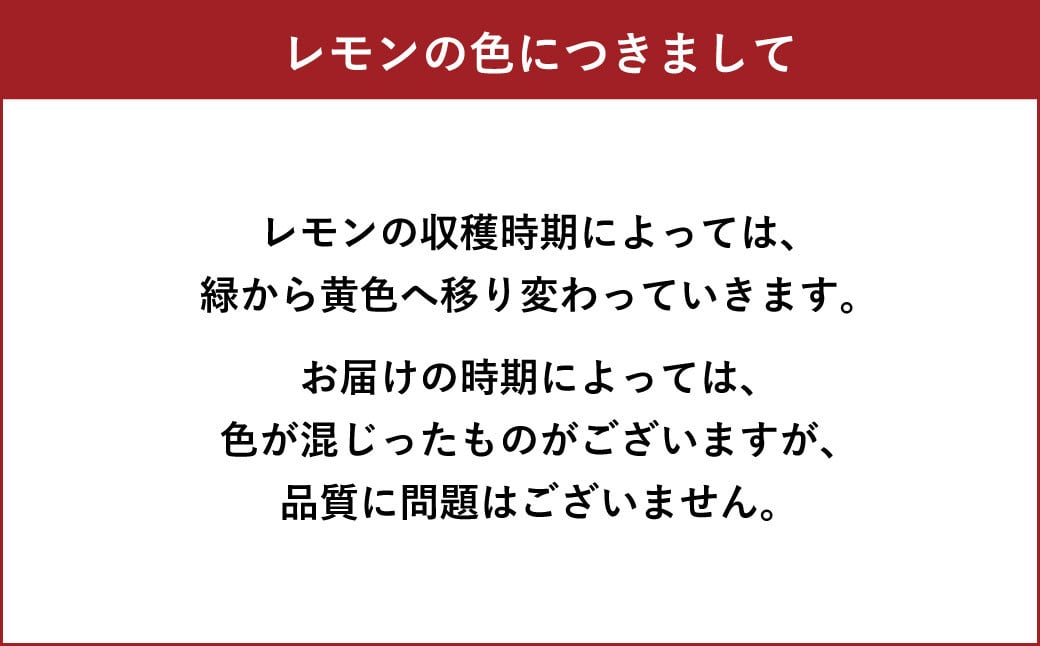 マイヤーレモン 3kg（25玉～30玉） 【ひかる農園】【9月上旬から12月下旬発送予定】レモン れもん 檸檬