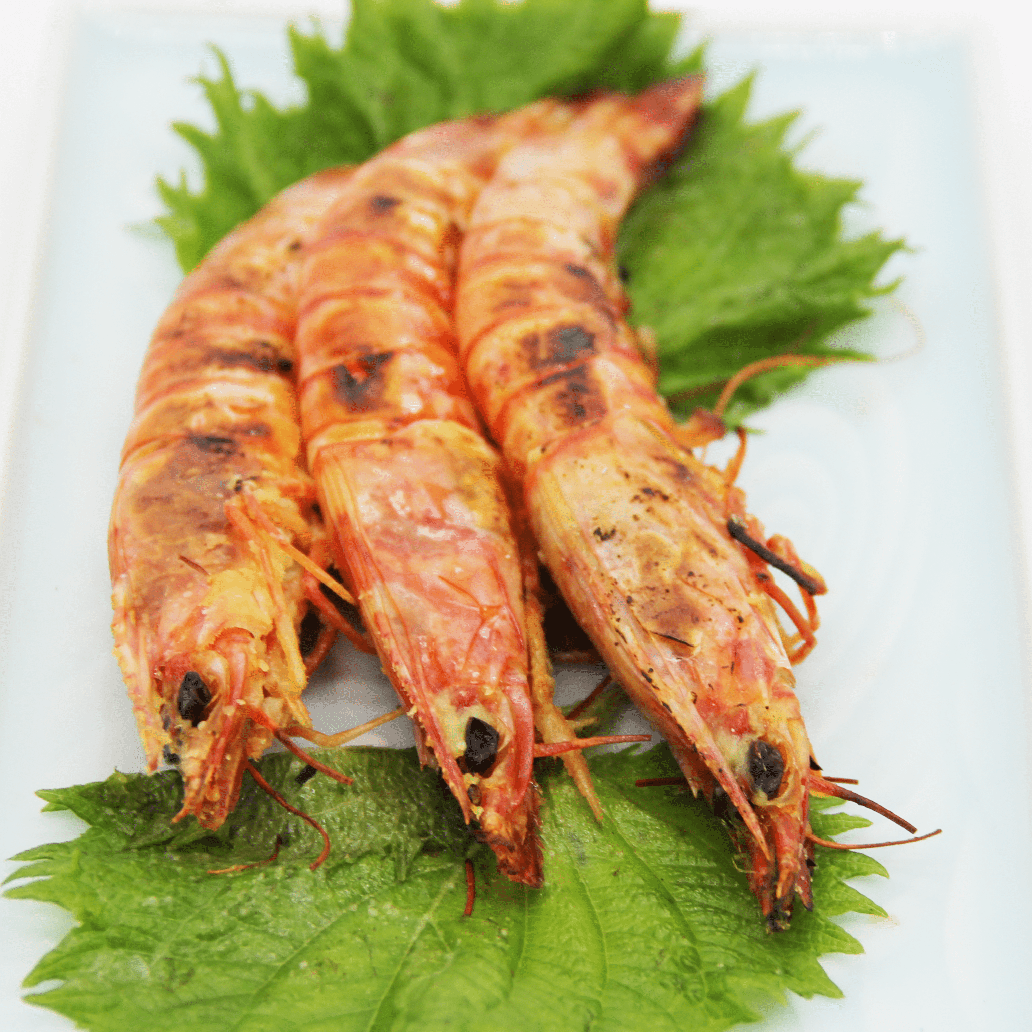 霆頑オキ閠√ョ蜻ウ蝎梧シャシ井クュ縲懷、ァ繧オ繧、繧コシ250g 豬キ閠 縺医ウ 蜻ウ蝎梧シャ縺