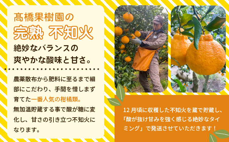 先行予約 不知火 ご家庭用 完熟不知火 約7kg 髙橋果樹園【2026年2月上旬から5月中旬発送予定】ご家庭用 不揃い キズあり ご家庭用 SDGｓ B級品 しらぬい みかん ミカン 高橋果樹園 柑橘 かんきつ 宇城市産 デコポン® 不知火発祥の地