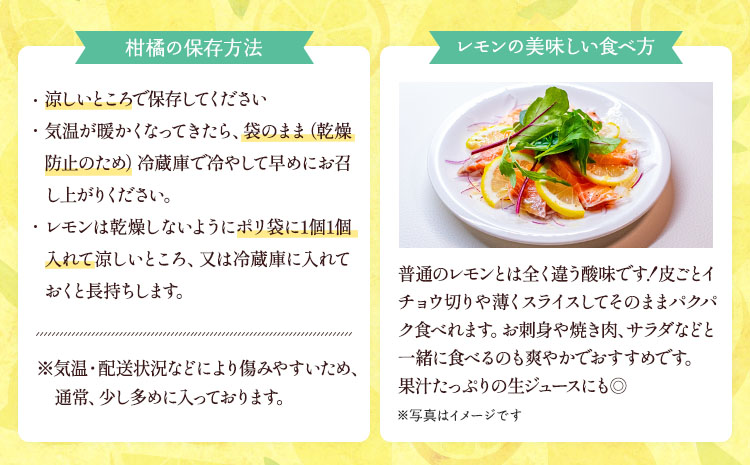 é£ã¹ãã¬ã¢ã³ ã¹ã€ãŒãã¬ã¢ããŒã çŽ2kgïŒ15ã25çïŒãåç°ã¬ã¢ããŒãã2025幎12æäžæ¬-2026幎6æäžæ¬çºéã