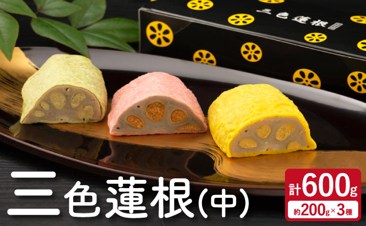 れんこん レンコン 三色蓮根 (中) 約200g×3本 合計約600g 蓮根