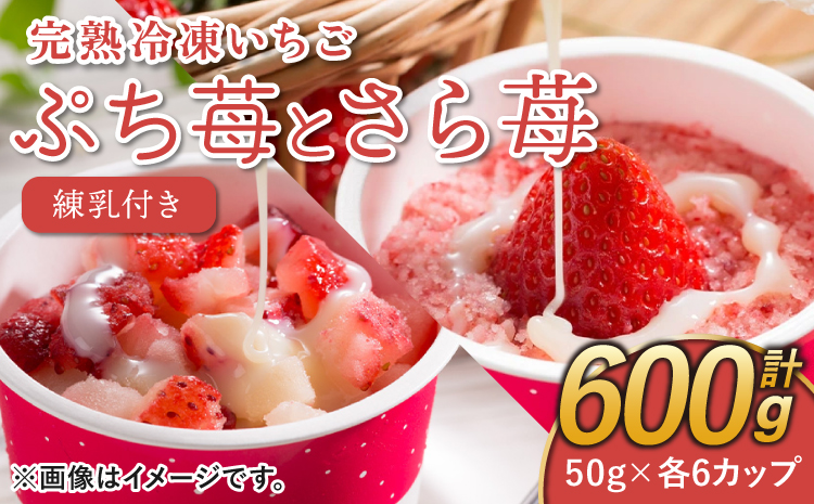 完熟 冷凍 いちご 「ぷち苺」 と 「さら苺」 各6カップ 合計12カップ（600g） 練乳付き 1本（120g） 園村苺園