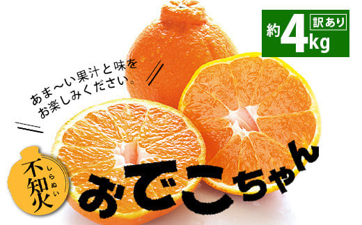 【先行予約】訳あり品 おでこちゃん 約4kg 【2025年2月上旬から3月上旬発送予定】みかん 不知火 柑橘 フルーツ 果物