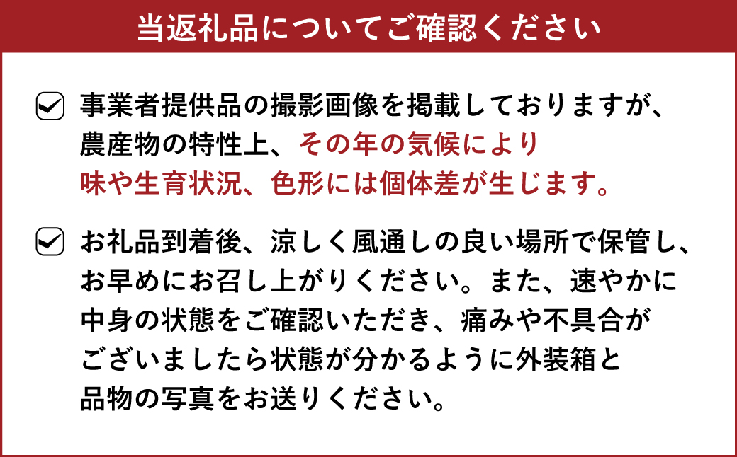 璃の香（りのか） 約3kg 10〜15玉 【吉田レモニー】【2024年8月下旬〜2025年1月下旬発送】檸檬 レモン れもん