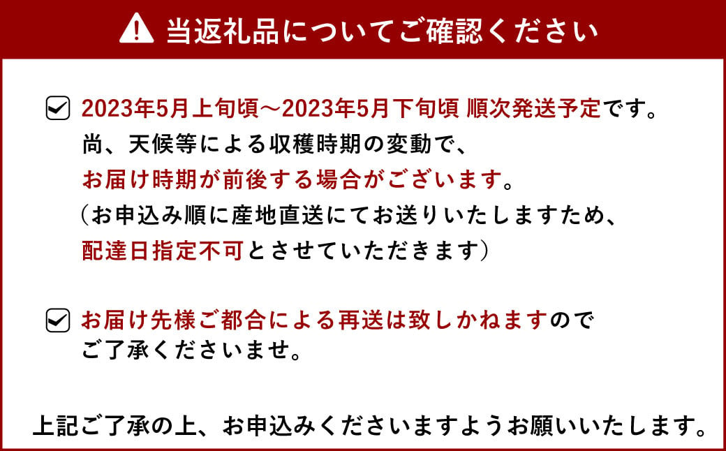 【2023年5月上旬から順次発送】極甘スイートコーン 約4kg トウモロコシ とうもろこし コーン