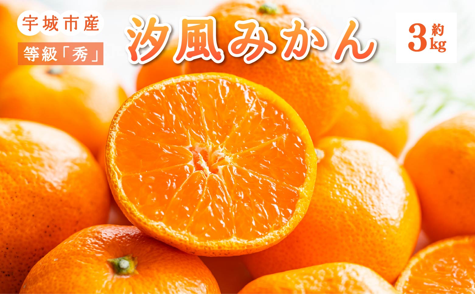 みかん 汐風みかん 等級「秀」約3kg 【のむちゃん農園】【11月上旬から2026年1月下旬発送予定】みかん オレンジ 果物 フルーツ 熊本県