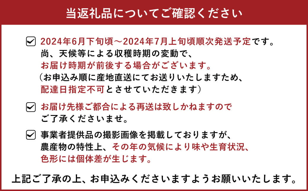 肥後グリーン メロン 2玉 約4～4.8kg 藤山農園【6月下旬から7月上旬発送予定】